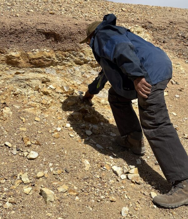 Dr. Jose-Frutos testing found gold